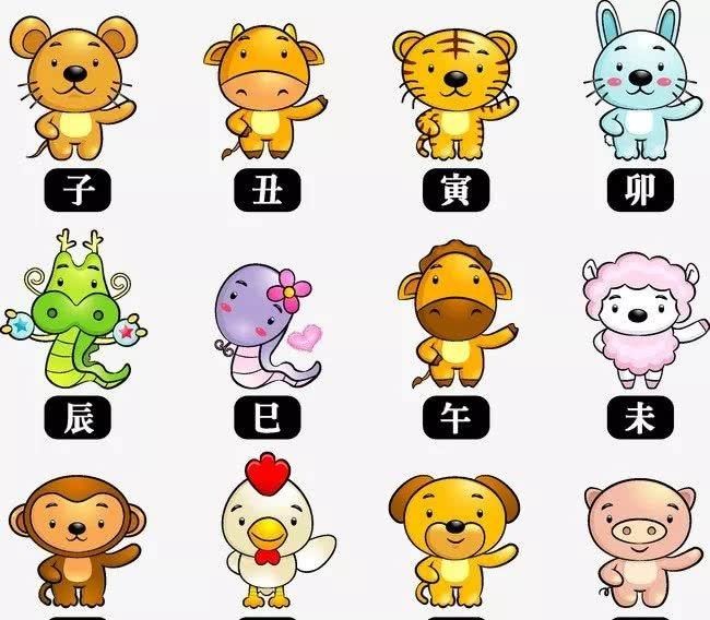Chinese zodiac culture